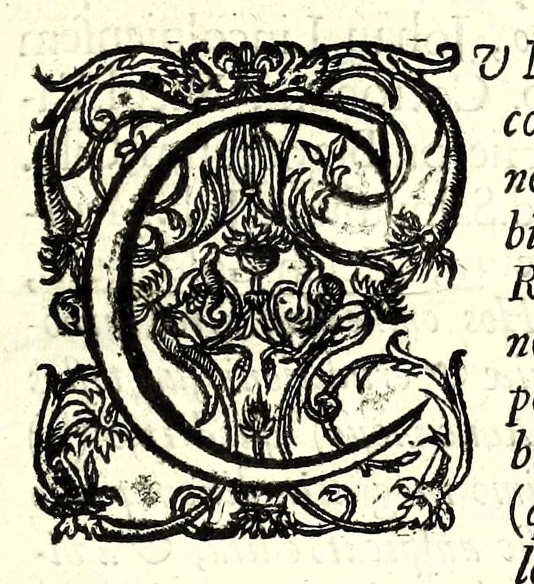 An illustration from Glossarium archaiologicum : continens latino-barbara, peregrina, obsoleta, & novatae significationis vocabula ..., 1687, leaf 9