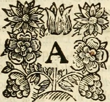 An illustration from Glossarium archiaologicum [sic] : continens latino-barbara, peregrina, obsoleta, & novatae significationis vocabula ..., 1687, leaf 26