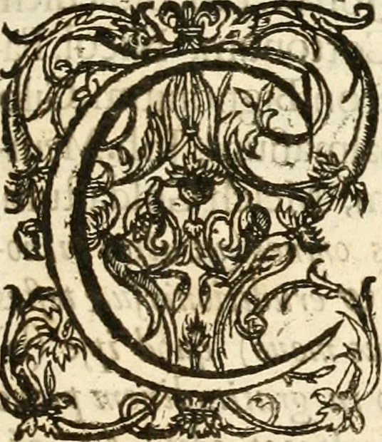 An illustration from Glossarium archiaologicum [sic] : continens latino-barbara, peregrina, obsoleta, & novatae significationis vocabula ..., 1687, leaf 6