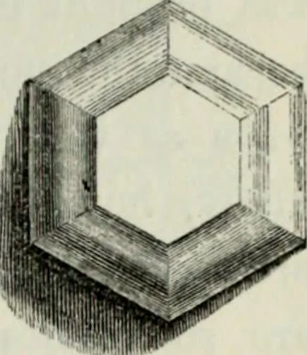 An illustration from A glossary of terms used in Grecian, Roman, Italian, and Gothic architecture, 1845, leaf 160