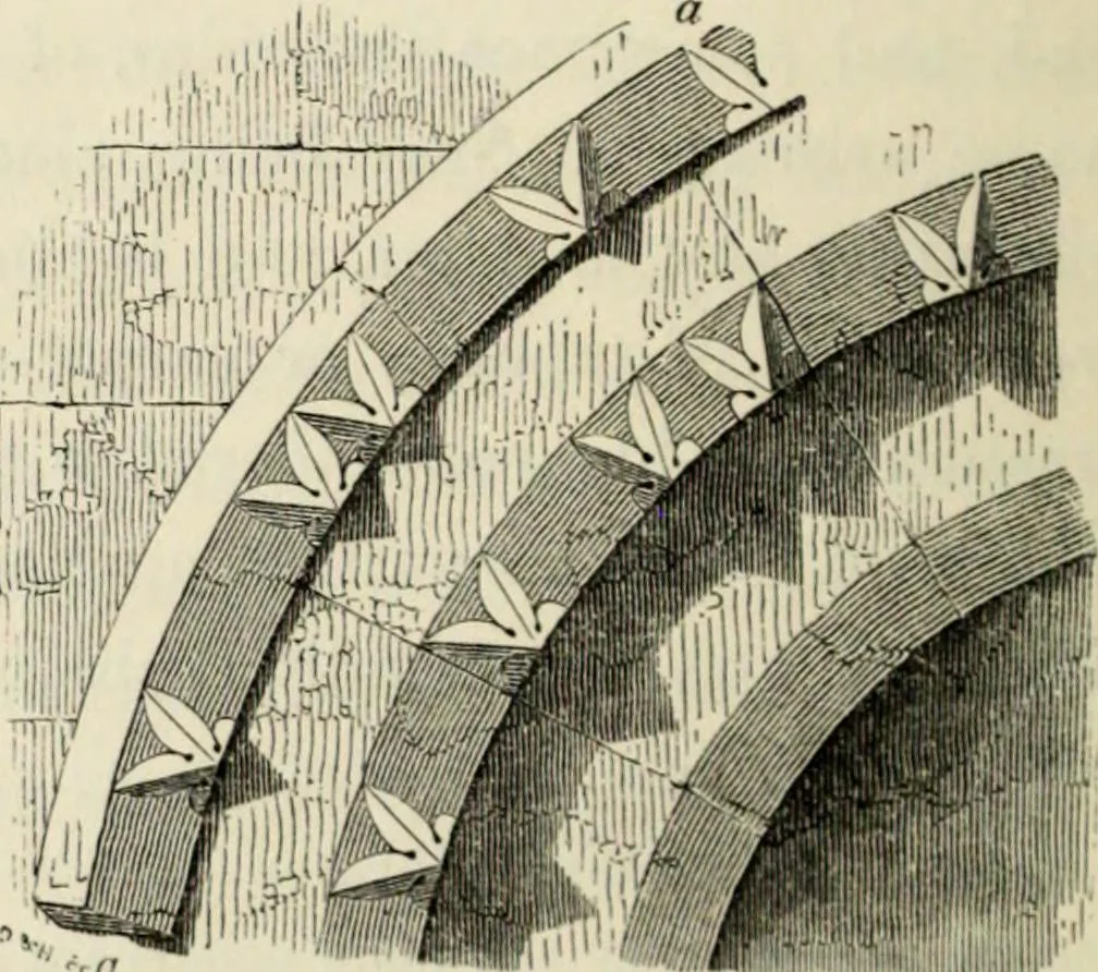 An illustration from A glossary of terms used in Grecian, Roman, Italian, and Gothic architecture, 1845, leaf 165