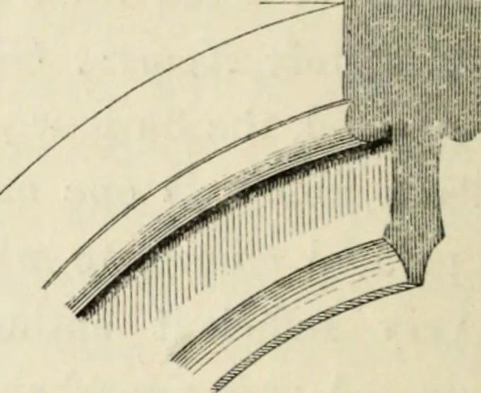 An illustration from A glossary of terms used in Grecian, Roman, Italian, and Gothic architecture, 1845, leaf 181