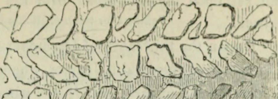 An illustration from A glossary of terms used in Grecian, Roman, Italian, and Gothic architecture, 1845, leaf 214