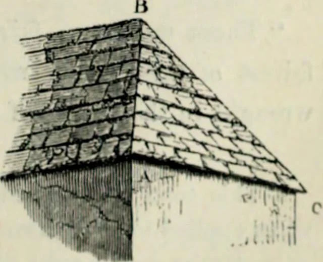 An illustration from A glossary of terms used in Grecian, Roman, Italian, and Gothic architecture, 1845, leaf 216
