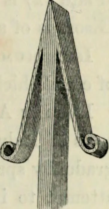 An illustration from A glossary of terms used in Grecian, Roman, Italian, and Gothic architecture, 1845, leaf 232