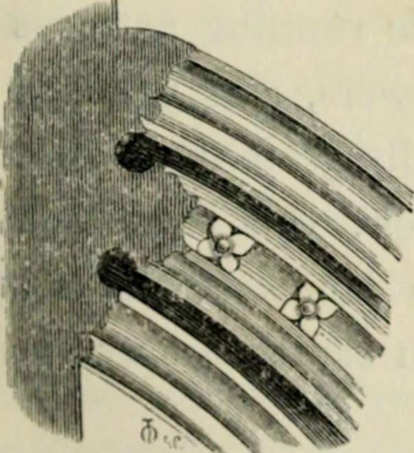 An illustration from A glossary of terms used in Grecian, Roman, Italian, and Gothic architecture, 1845, leaf 268