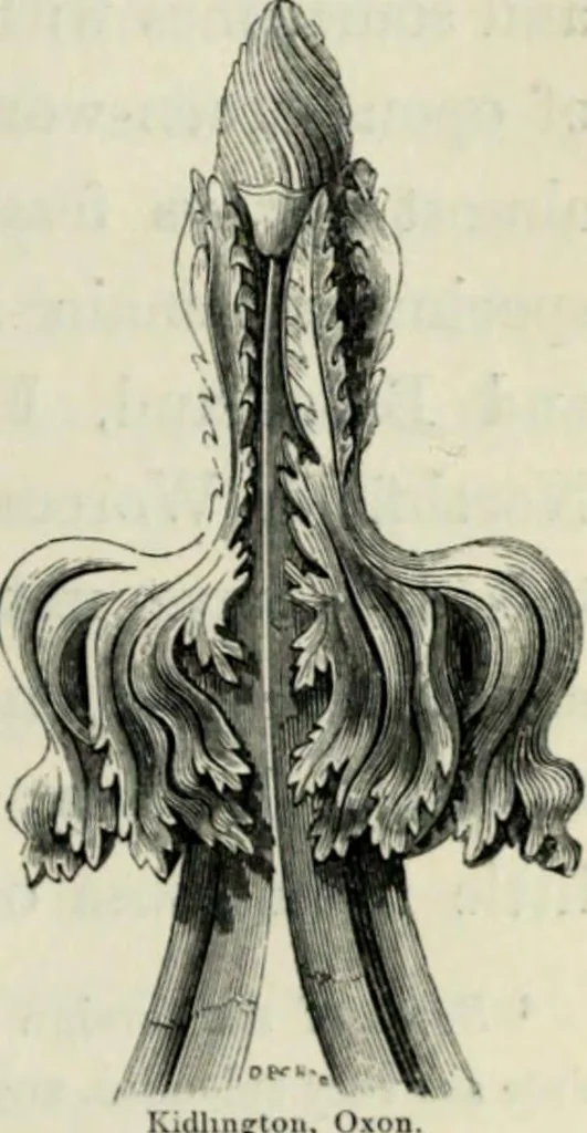 An illustration from A glossary of terms used in Grecian, Roman, Italian, and Gothic architecture, 1845, leaf 310