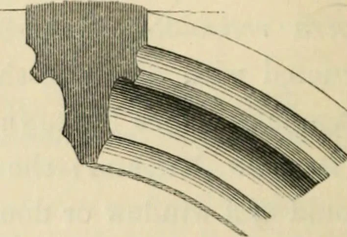 An illustration from A glossary of terms used in Grecian, Roman, Italian, and Gothic architecture, 1845, leaf 325
