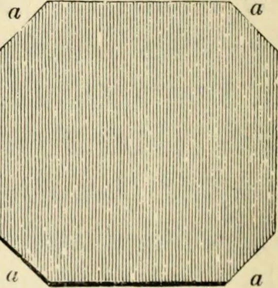 An illustration from A glossary of terms used in Grecian, Roman, Italian, and Gothic architecture, 1845, leaf 97