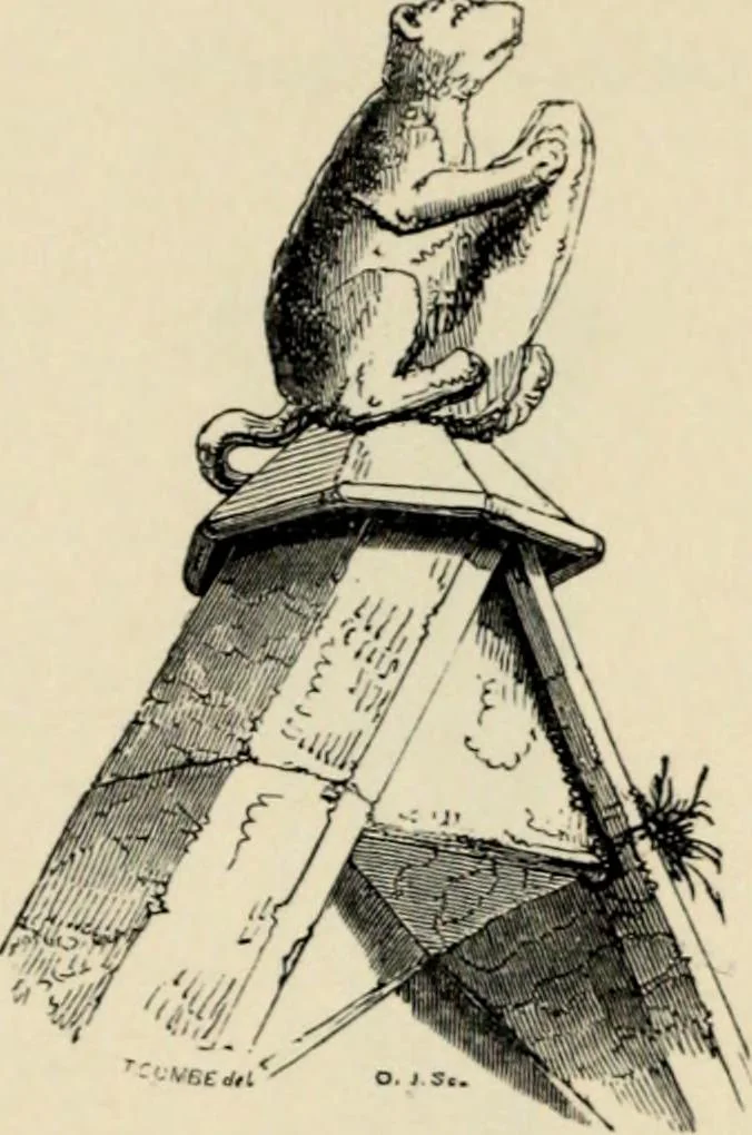 An illustration from A glossary of terms used in Grecian, Roman, Italian, and Gothic architecture, 1845, leaf 159