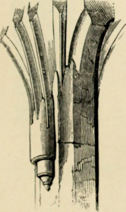 An illustration from A glossary of terms used in Grecian, Roman, Italian, and Gothic architecture, 1845, leaf 161