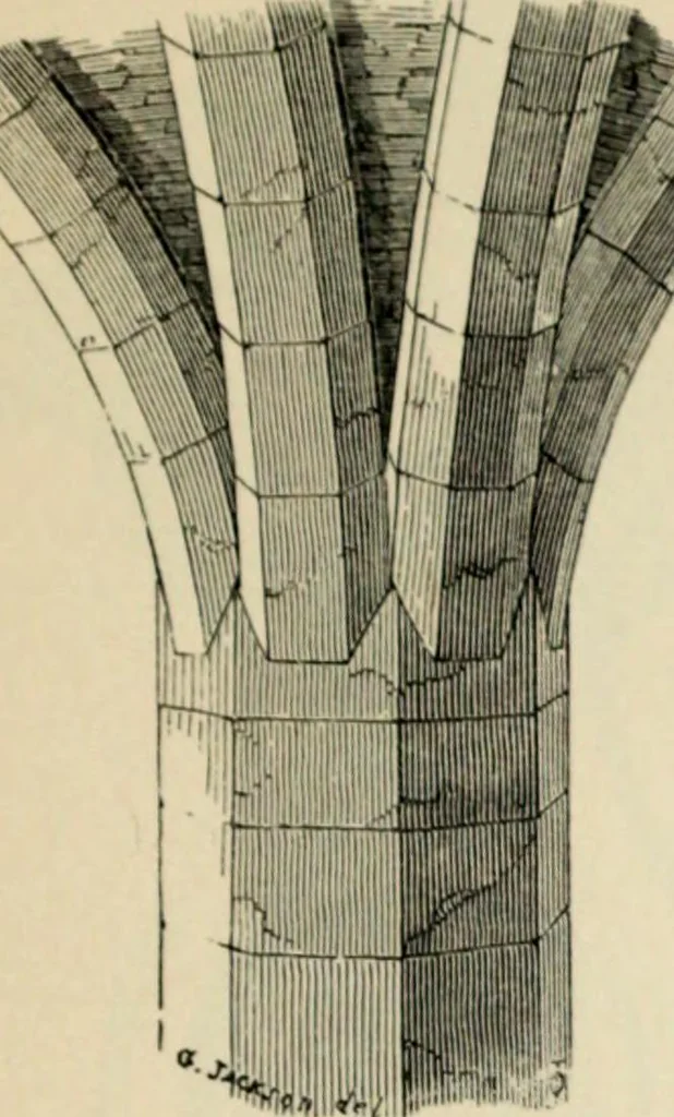An illustration from A glossary of terms used in Grecian, Roman, Italian, and Gothic architecture, 1845, leaf 163