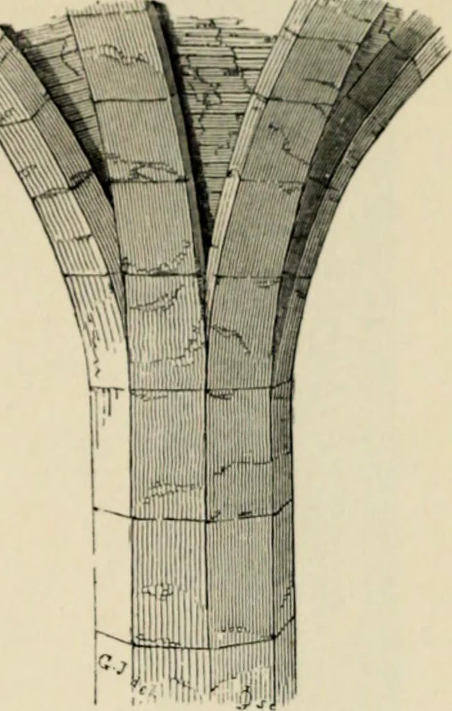 An illustration from A glossary of terms used in Grecian, Roman, Italian, and Gothic architecture, 1845, leaf 163