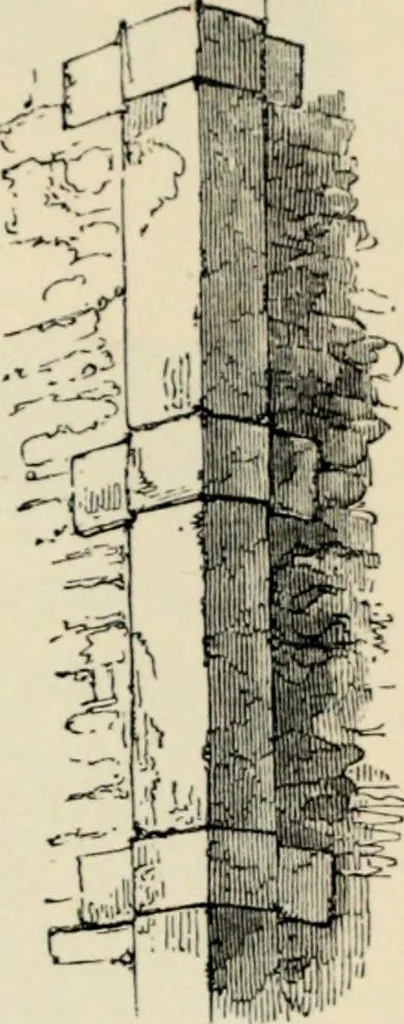 An illustration from A glossary of terms used in Grecian, Roman, Italian, and Gothic architecture, 1845, leaf 173