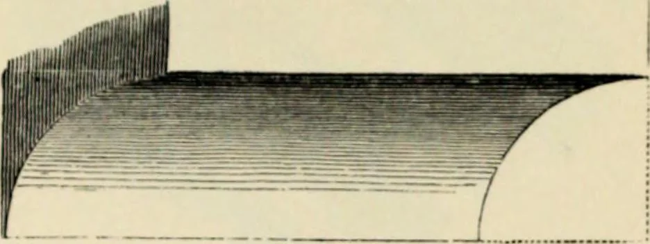 An illustration from A glossary of terms used in Grecian, Roman, Italian, and Gothic architecture, 1845, leaf 177