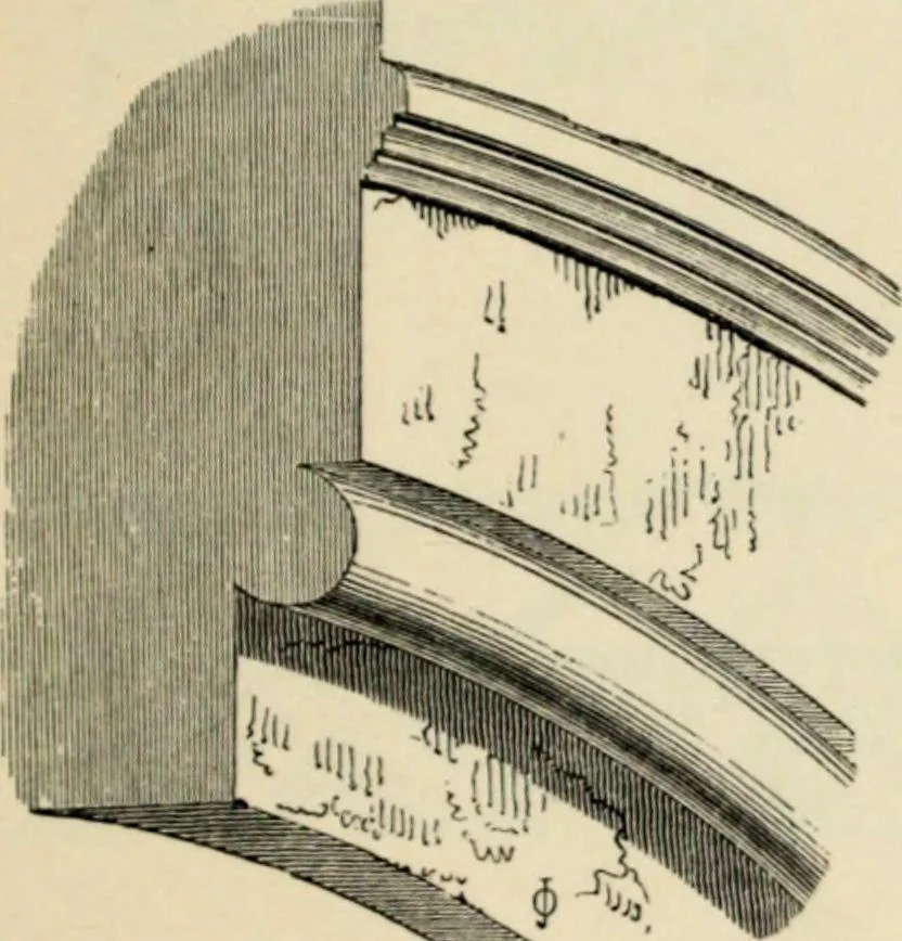 An illustration from A glossary of terms used in Grecian, Roman, Italian, and Gothic architecture, 1845, leaf 179