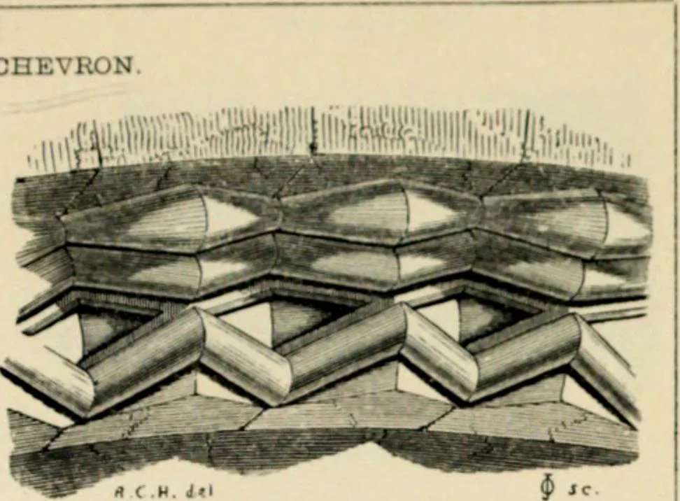 An illustration from A glossary of terms used in Grecian, Roman, Italian, and Gothic architecture, 1845, leaf 181