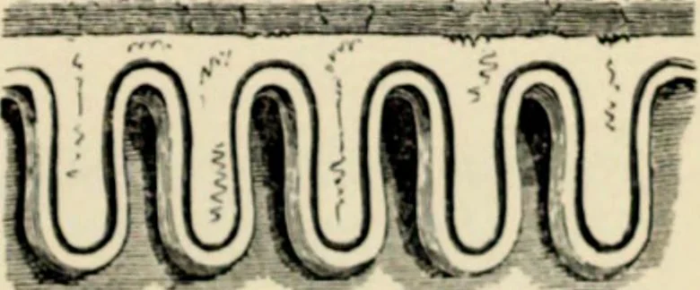 An illustration from A glossary of terms used in Grecian, Roman, Italian, and Gothic architecture, 1845, leaf 187