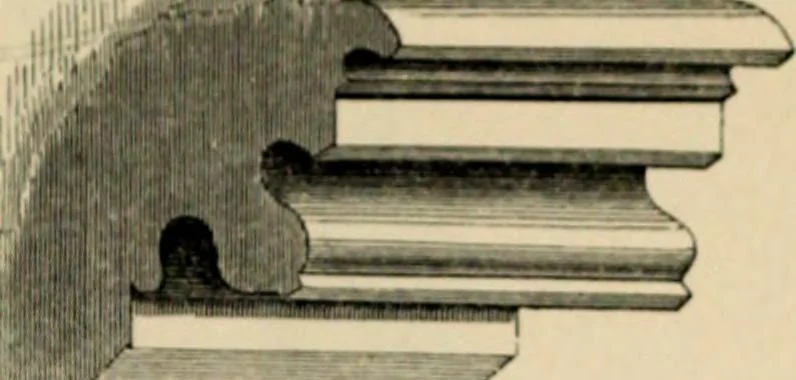 An illustration from A glossary of terms used in Grecian, Roman, Italian, and Gothic architecture, 1845, leaf 193