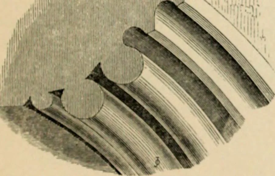 An illustration from A glossary of terms used in Grecian, Roman, Italian, and Gothic architecture, 1845, leaf 195