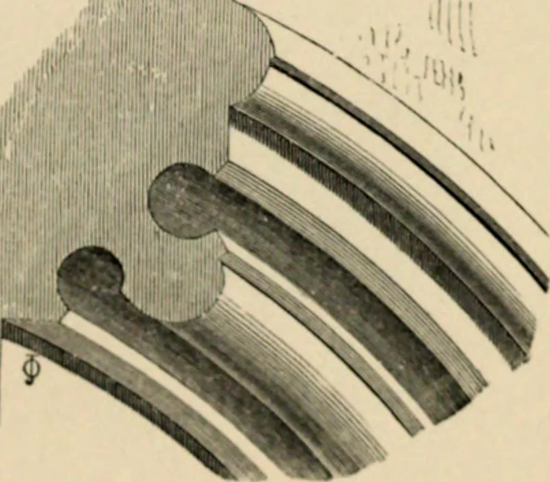 An illustration from A glossary of terms used in Grecian, Roman, Italian, and Gothic architecture, 1845, leaf 195