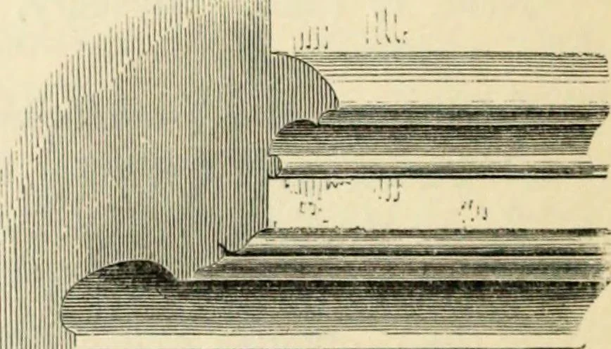 An illustration from A glossary of terms used in Grecian, Roman, Italian, and Gothic architecture, 1845, leaf 20