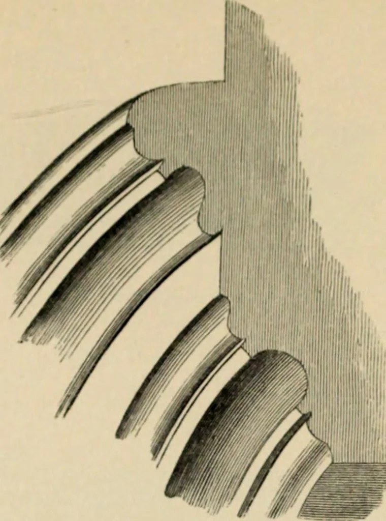 An illustration from A glossary of terms used in Grecian, Roman, Italian, and Gothic architecture, 1845, leaf 201