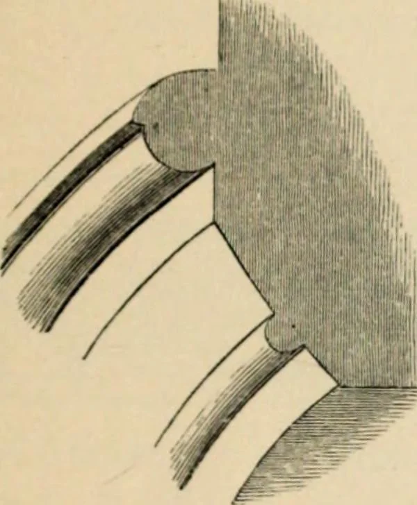 An illustration from A glossary of terms used in Grecian, Roman, Italian, and Gothic architecture, 1845, leaf 201