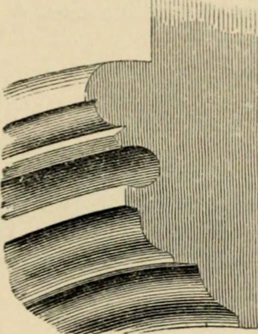 An illustration from A glossary of terms used in Grecian, Roman, Italian, and Gothic architecture, 1845, leaf 201