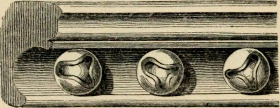 An illustration from A glossary of terms used in Grecian, Roman, Italian, and Gothic architecture, 1845, leaf 203