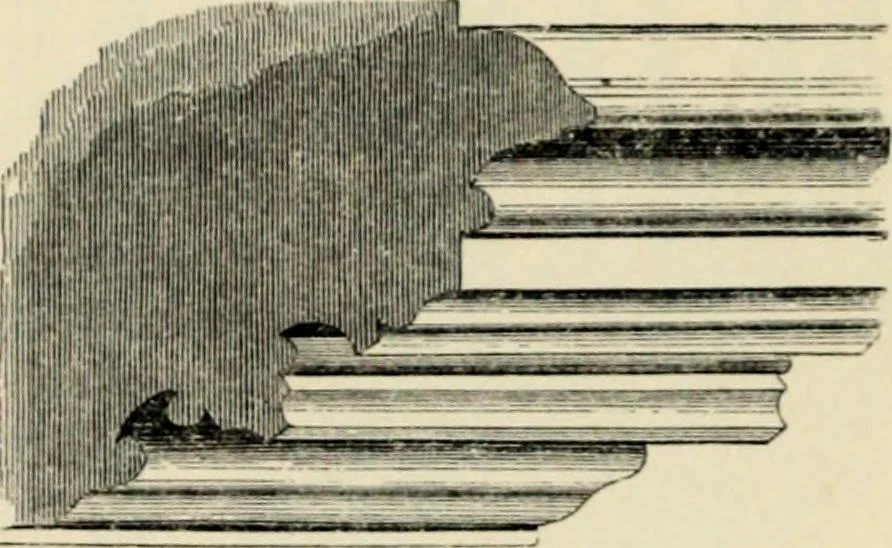 An illustration from A glossary of terms used in Grecian, Roman, Italian, and Gothic architecture, 1845, leaf 205