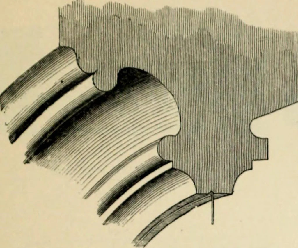 An illustration from A glossary of terms used in Grecian, Roman, Italian, and Gothic architecture, 1845, leaf 207