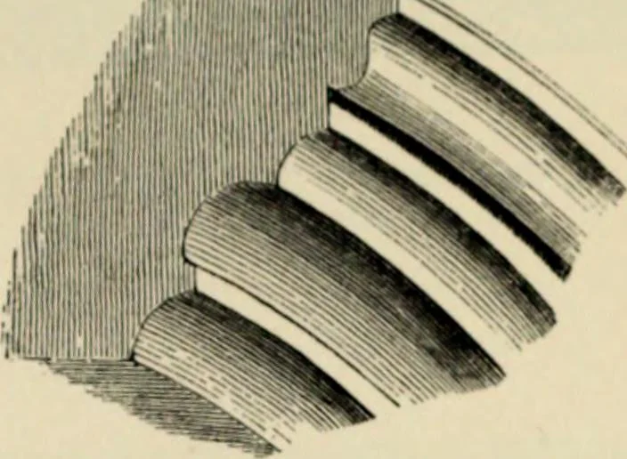An illustration from A glossary of terms used in Grecian, Roman, Italian, and Gothic architecture, 1845, leaf 207