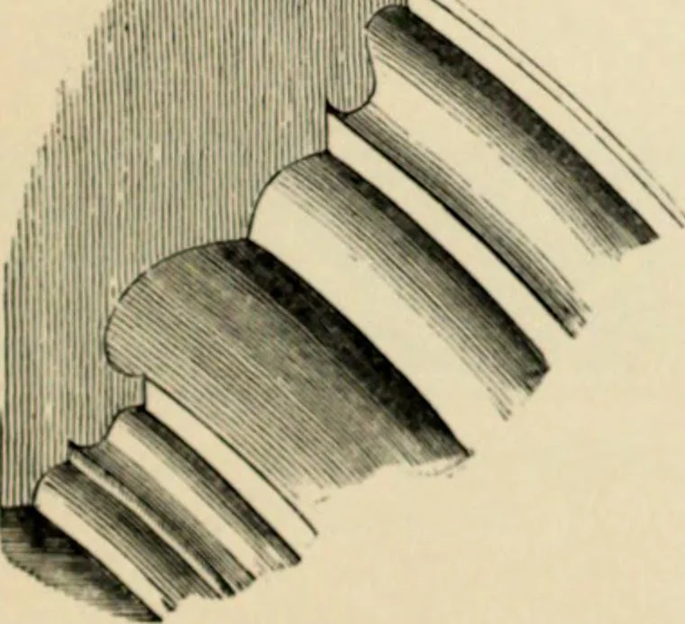 An illustration from A glossary of terms used in Grecian, Roman, Italian, and Gothic architecture, 1845, leaf 207