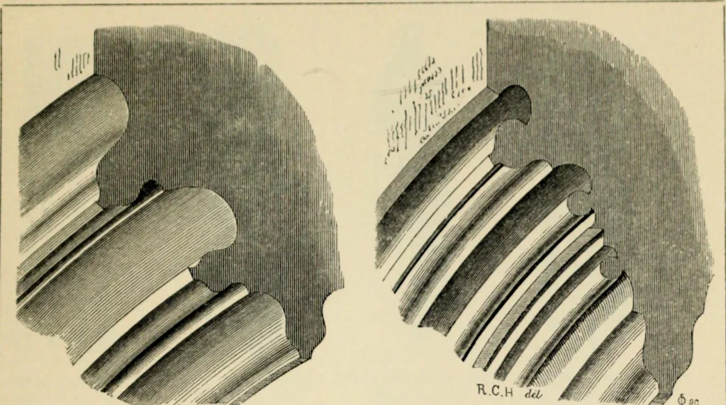 An illustration from A glossary of terms used in Grecian, Roman, Italian, and Gothic architecture, 1845, leaf 211
