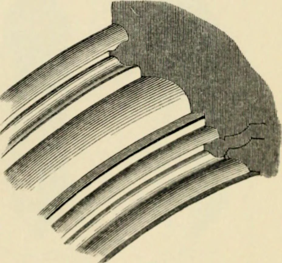 An illustration from A glossary of terms used in Grecian, Roman, Italian, and Gothic architecture, 1845, leaf 211