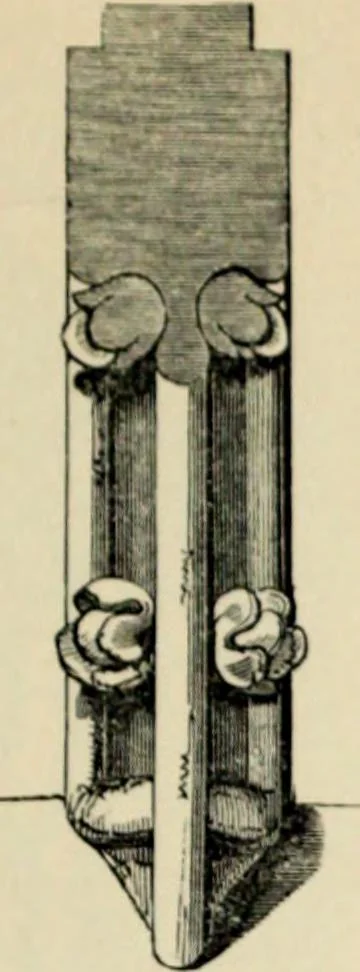 An illustration from A glossary of terms used in Grecian, Roman, Italian, and Gothic architecture, 1845, leaf 213