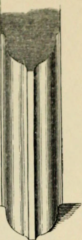 An illustration from A glossary of terms used in Grecian, Roman, Italian, and Gothic architecture, 1845, leaf 213