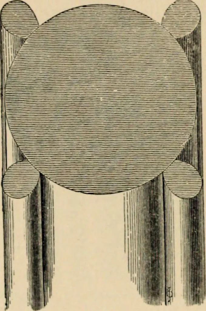 An illustration from A glossary of terms used in Grecian, Roman, Italian, and Gothic architecture, 1845, leaf 239