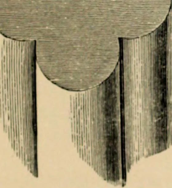 An illustration from A glossary of terms used in Grecian, Roman, Italian, and Gothic architecture, 1845, leaf 239