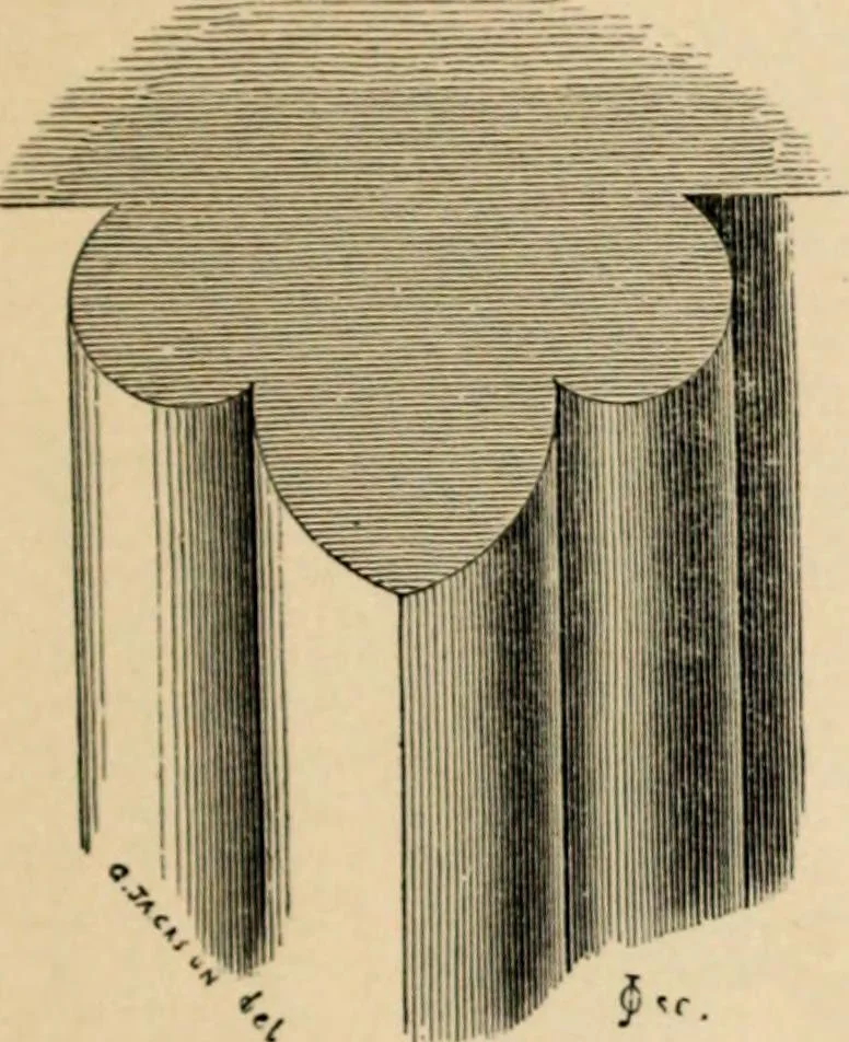An illustration from A glossary of terms used in Grecian, Roman, Italian, and Gothic architecture, 1845, leaf 241