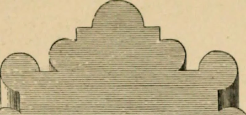 An illustration from A glossary of terms used in Grecian, Roman, Italian, and Gothic architecture, 1845, leaf 241