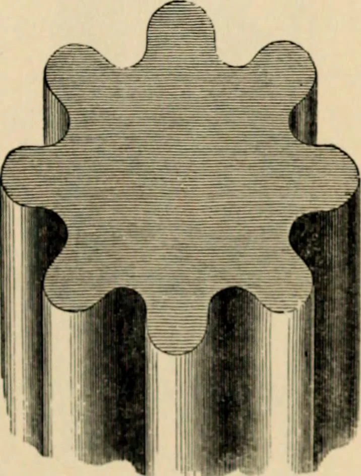 An illustration from A glossary of terms used in Grecian, Roman, Italian, and Gothic architecture, 1845, leaf 245