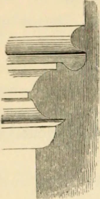 An illustration from A glossary of terms used in Grecian, Roman, Italian, and Gothic architecture, 1845, leaf 26