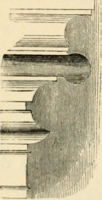 An illustration from A glossary of terms used in Grecian, Roman, Italian, and Gothic architecture, 1845, leaf 26