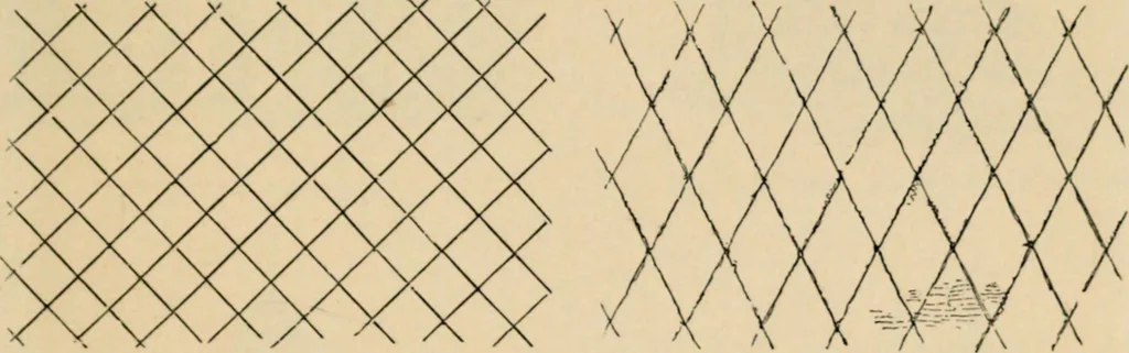 An illustration from A glossary of terms used in Grecian, Roman, Italian, and Gothic architecture, 1845, leaf 303