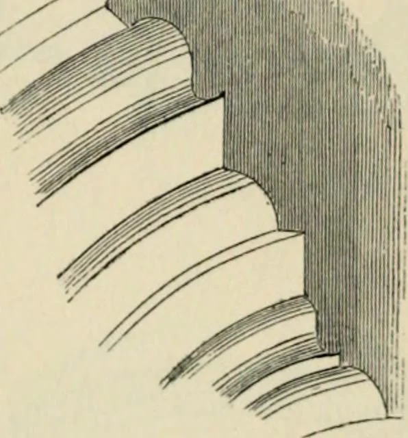An illustration from A glossary of terms used in Grecian, Roman, Italian, and Gothic architecture, 1845, leaf 31