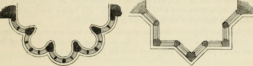An illustration from A glossary of terms used in Grecian, Roman, Italian, and Gothic architecture, 1845, leaf 161