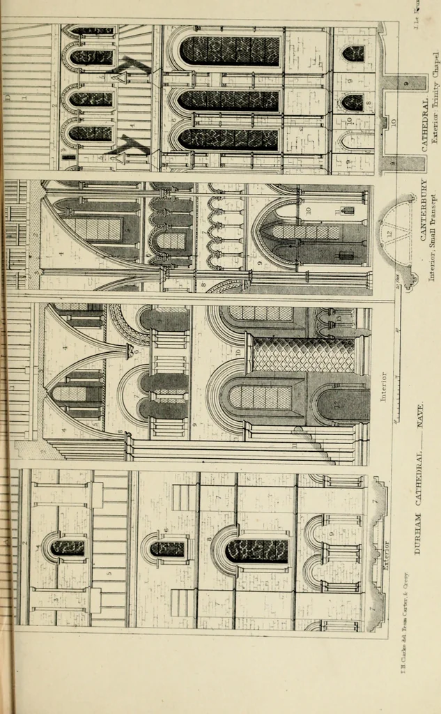 An illustration from A glossary of terms used in Grecian, Roman, Italian, and Gothic architecture, 1845, leaf 241