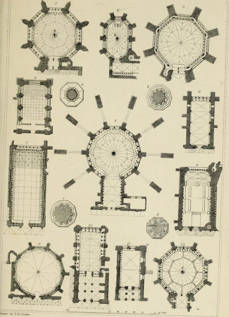 An illustration from A glossary of terms used in Grecian, Roman, Italian, and Gothic architecture, 1845, leaf 245